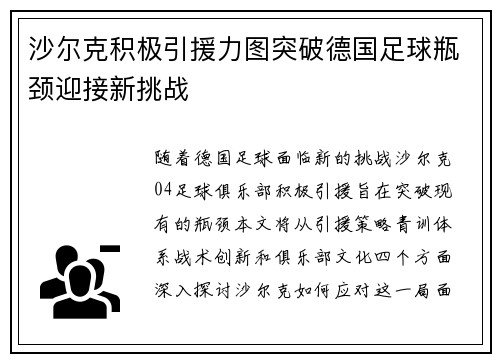 沙尔克积极引援力图突破德国足球瓶颈迎接新挑战