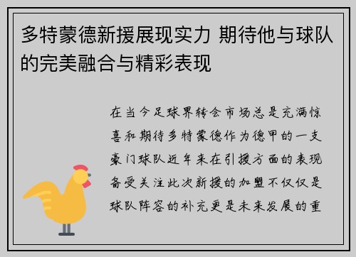 多特蒙德新援展现实力 期待他与球队的完美融合与精彩表现