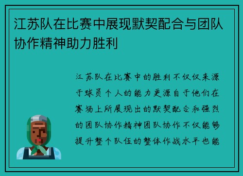 江苏队在比赛中展现默契配合与团队协作精神助力胜利
